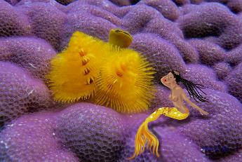 Mermaid Eve Mermaid with a yellow christmas tree feather duster