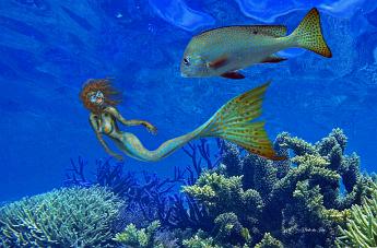 Mermaid spotted sweetlips Mermaid mimicking a goldspotted sweetlips Plectorhinichus flavormaculatus