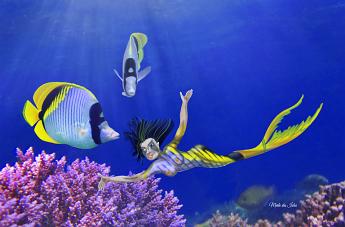 Papillon Mermaid Mermaid mimicking butterfly fish