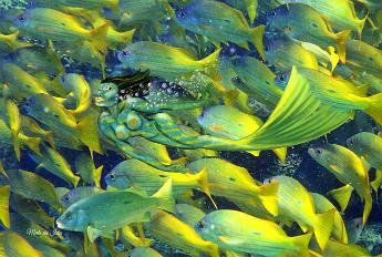 Mermaid snap Mermaid blending in with a school of yellow snappers Lutjanus fulviflamma