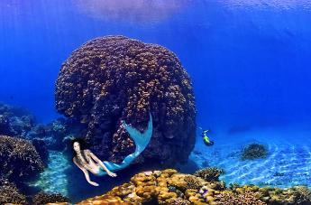 Eline Siren The Siren Mermaid in New Caledonia