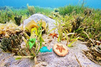 Mermaid Secret Mermaid sharing a secret with a blue chromis fish