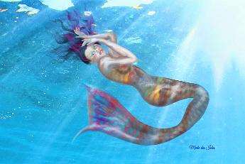 Mermaid Parrot Mermaid with Parrotfish colors