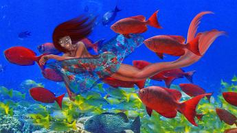 Mermaid swarm Mermaid luring fish with her scarf